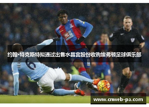 约翰·特克斯特拟通过出售水晶宫股份收购埃弗顿足球俱乐部 约翰·特克斯特拟通过出售水晶宫股份收购埃弗顿足球俱乐部